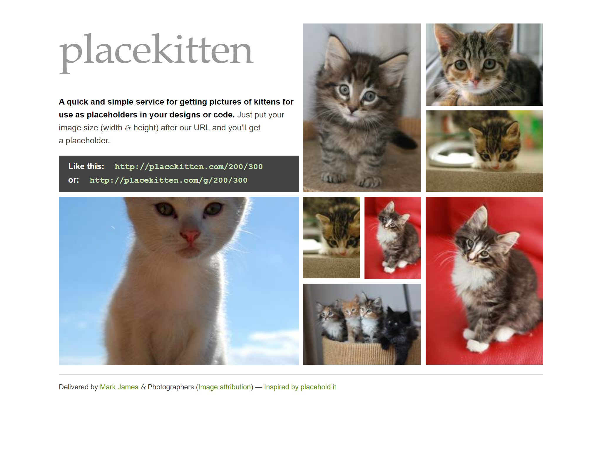 Placekitten